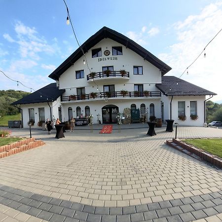 Hotel Evenimente Edelweiss Bogdan Vodă Exterior foto