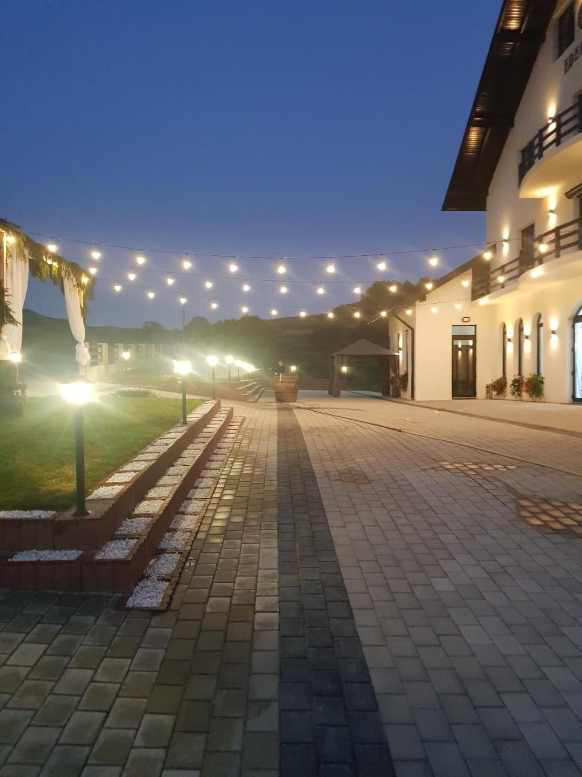 Hotel Evenimente Edelweiss Bogdan Vodă Exterior foto