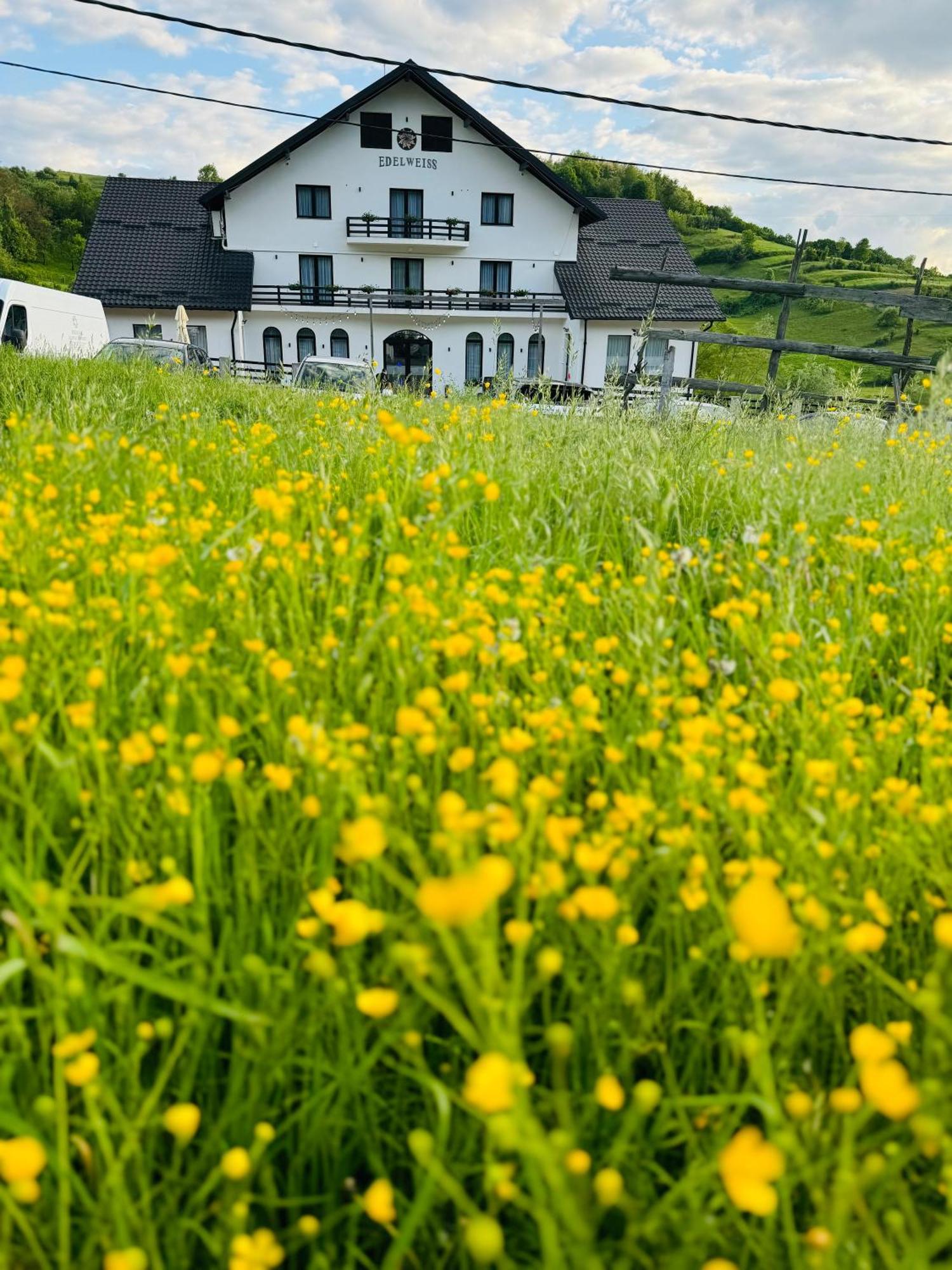 Hotel Evenimente Edelweiss Bogdan Vodă Exterior foto